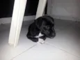 Neguinha
