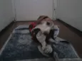 Charlie