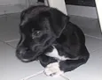 Neguinha