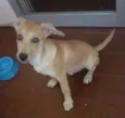 Nina