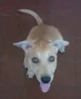 Nina
