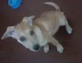 Nina