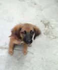 Linda