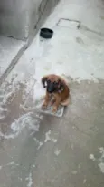 Linda
