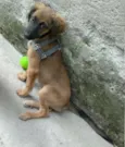 Linda