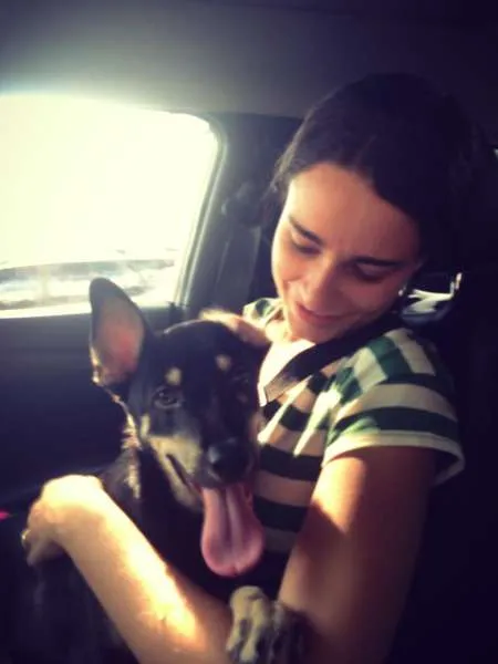 Cachorro ra a SRD idade 2 a 6 meses nome URSO