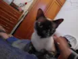 Rei e Yuli
