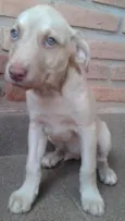 JACK