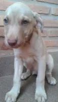 JACK