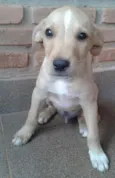 BOB