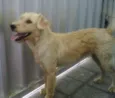 xuxa