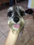 Tufão