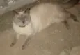 Maruto