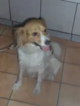 Sophia