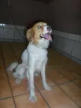 Sophia