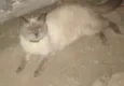 Maruto
