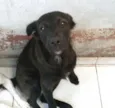 Ursinho