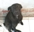 Ursinho