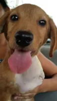 Melo