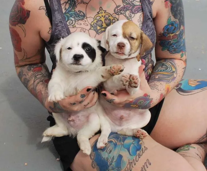 Cachorro ra a SRD idade Abaixo de 2 meses nome Filhotinhos 45 dias
