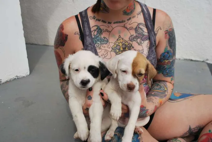 Cachorro ra a SRD idade Abaixo de 2 meses nome Filhotinhos 45 dias