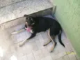 Valentina