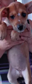 Tina