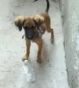 Linda