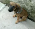 Linda