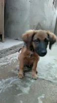 Linda