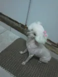 não sei