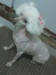 não sei