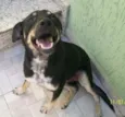 Valentina