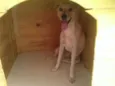 Mel