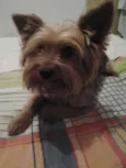 Charlie