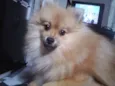 Marley