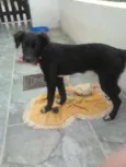 CHARLOTE