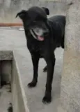 tok