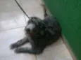 Ted