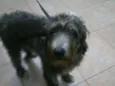 Ted