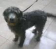 Ted