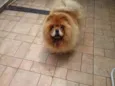 Kira