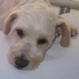 BILLY