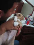 MACHOS PARA ADOÇÃO!