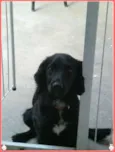 Marley