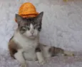 Rubi, o precioso!