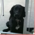 Marley