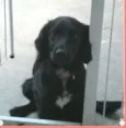Marley