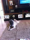 CHICO