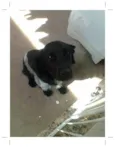 Marley